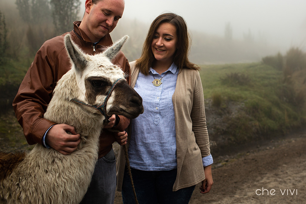 Couple and a Llama on teleferico Quito