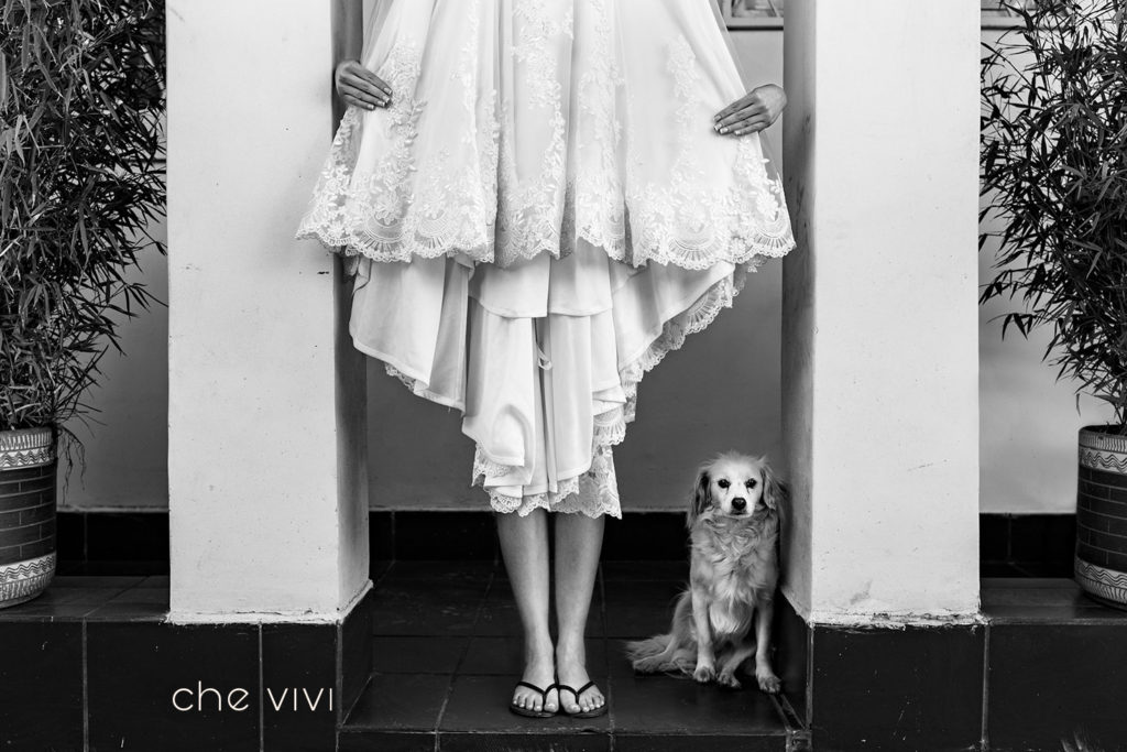 Boda con mascotas. Vestido de novia junto a un perro que mira a la cámara.