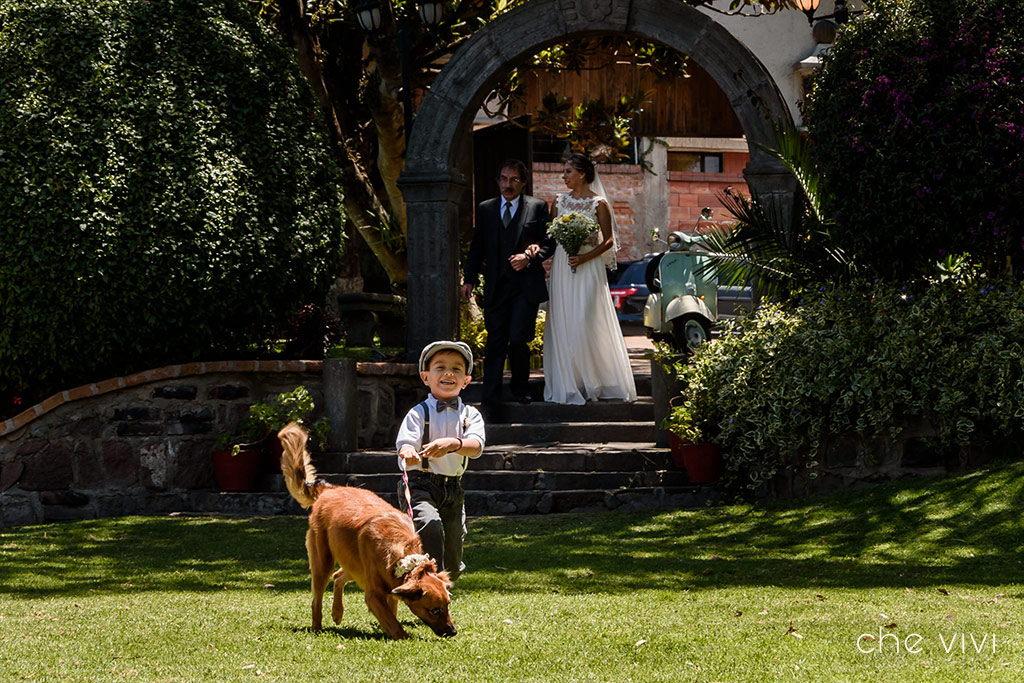 Niño lleva a perro en entrada de boda.