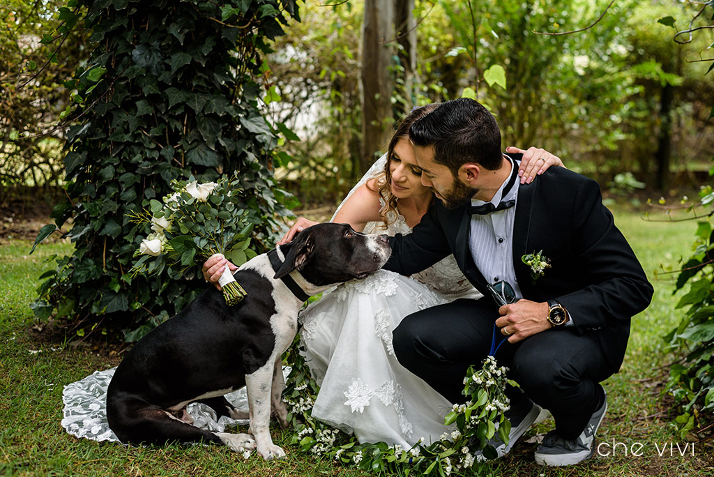 Perro Pitbull sentado en una boda junto a los novios. Bodas con mascotas.