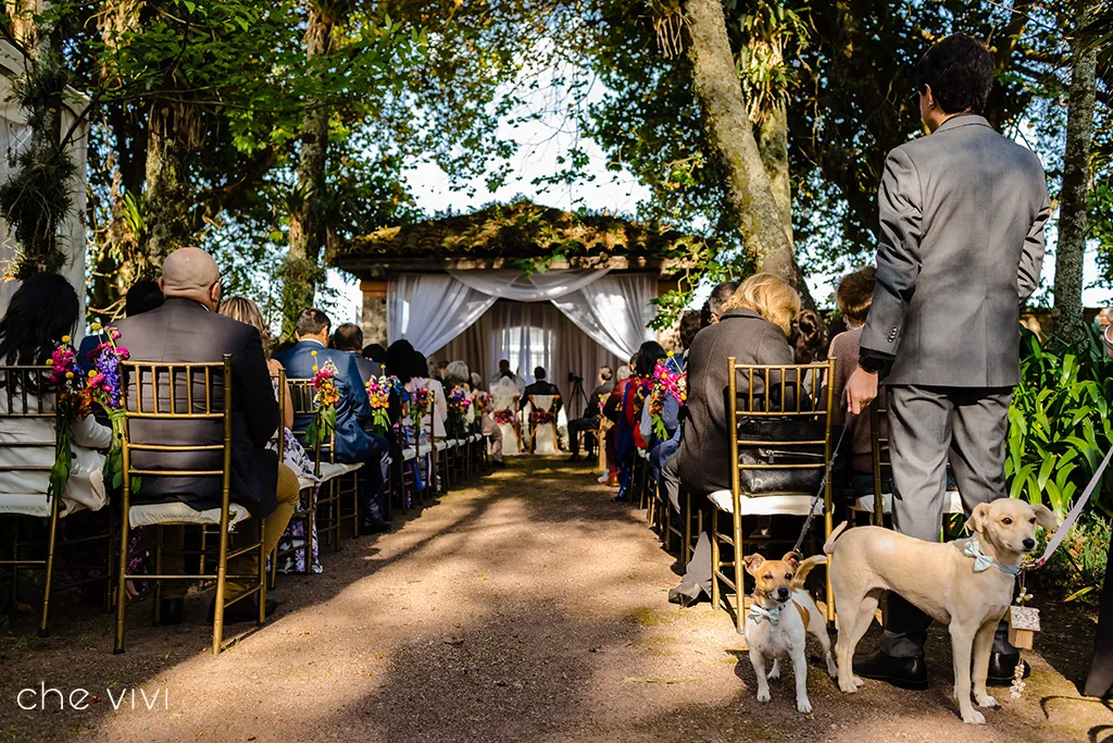Perros llevando aros en día de boda en Hacienda El Cortijo Quito 