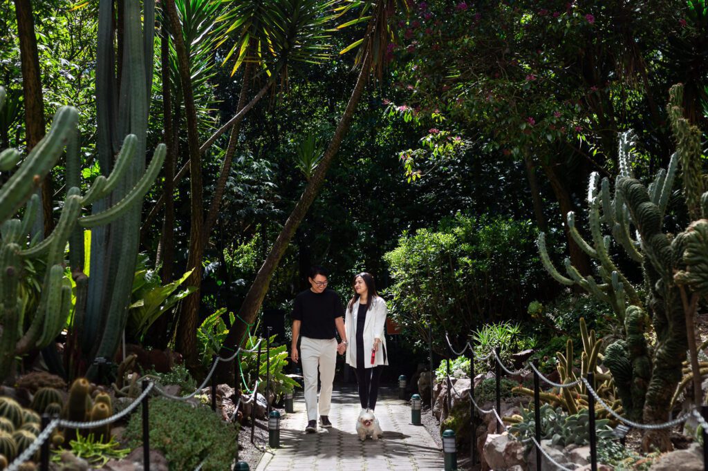 Pareja caminando de la mano junto a su pequeño perro blanco en los senderos del Jardín Botánico de Quito. Capturamos la felicidad de tu familia completa, incluyendo a tus mascotas, en un entorno natural y relajado por Viviana Calaón.